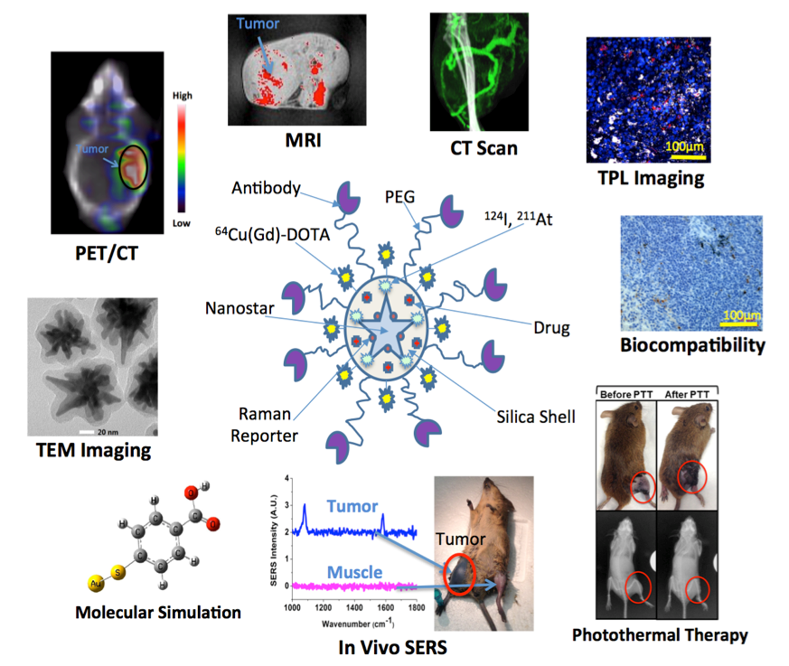 in-vivo-sers